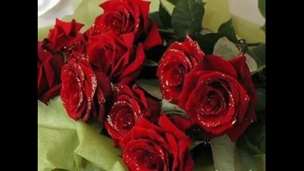 Червени рози