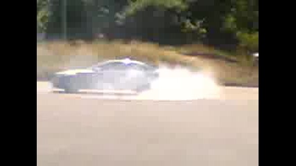 Barzi koli