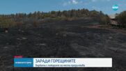 200 пожара за едно денонощие: Каква е актуалната обстановка в страната