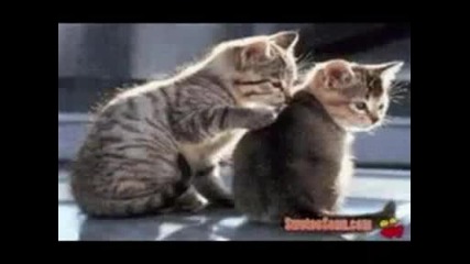 Kenny G - Forever In Love