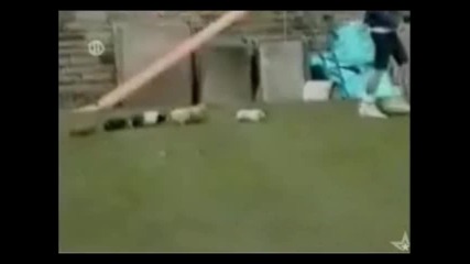 1 минута смях до сълзи