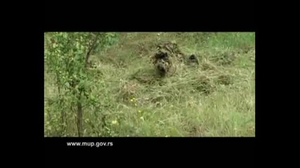 Serbian Special Forces (saj,ptj,zandarmerija)