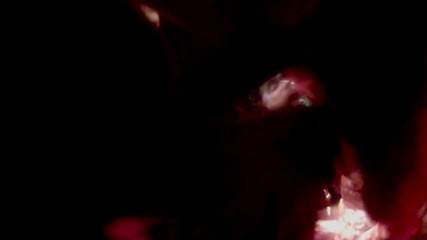 Municipal Waste - The Fatal Feast (official video)