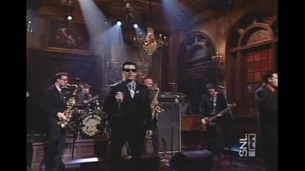 Mighty Mighty Bosstones - The Impression That i Get (live)