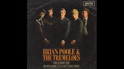 Brian Poole & The Tremeloes - You Don't Own Me