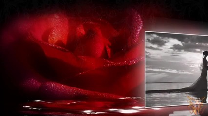 Wedding Love Reflect - Style for Proshow Producer 5