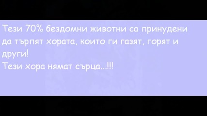 Видео, което се надявам да ви повлияе поне мъничко...