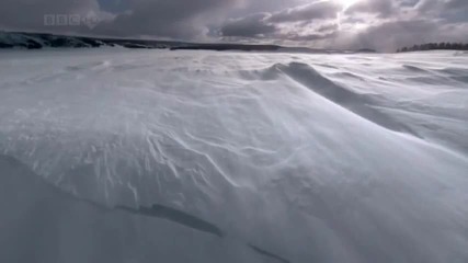 Прекрасна природа