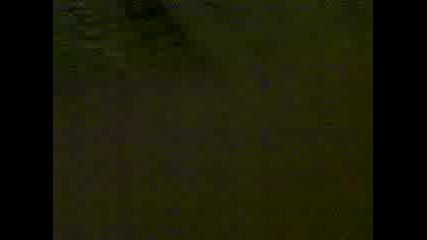 X5 Na Plo6tad Hadji Dimitar