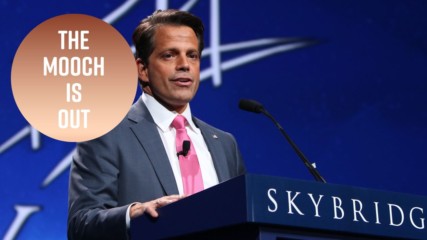 Celebs react to Scaramucci's dramatic firing