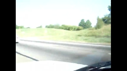 Зверове на пътя :)