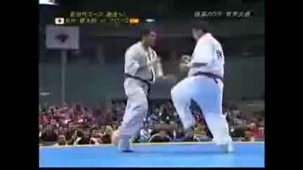 Kyokushin 9th World Open 2007 