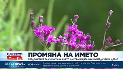 Дебат в САЩ: Да се смени ли името на Националната гора