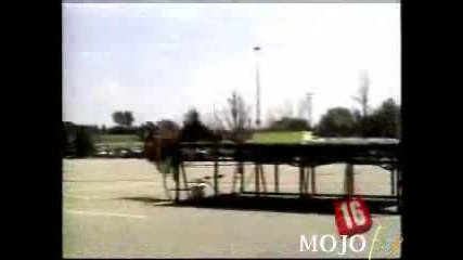 Петдесетте най - смешни спортни изцепки