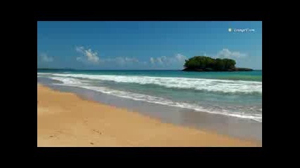Those Relaxing Sounds of Waves, Tropical Beaches with Ocean Sounds, 1080p Hd Video