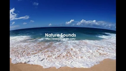 Nature Sound 5 - The Most Relaxing Sounds -