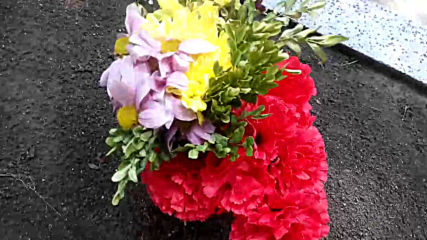 VID_20150612_131346