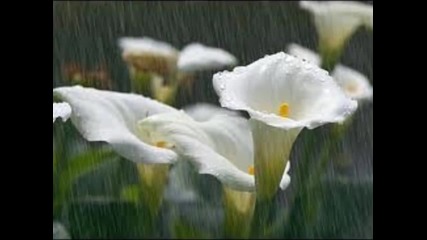 Joe Hisaishi - The Rain