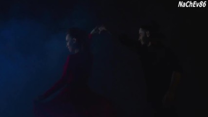 Kamelia - Suave