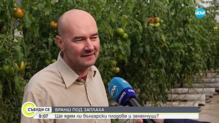 БРАНШ ПОД ЗАПЛАХА: Ще ядем ли български плодове и зеленчуци