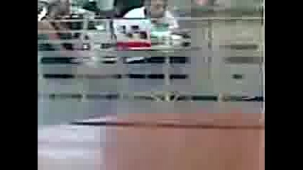 A4 Kopekler