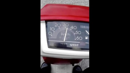 yamaha mint top seed