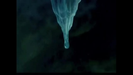 Enya - Book of days