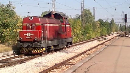 55004