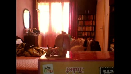 lps fei part 1 sluchaini sreshti