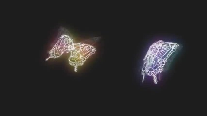 Amv Born