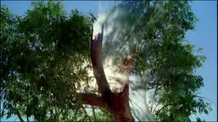 Красотата на Природата Hd Част 2