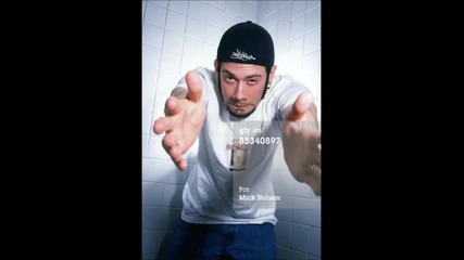 Limp Bizkit (wes Borland)