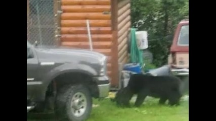Това е истинска майка , браво
