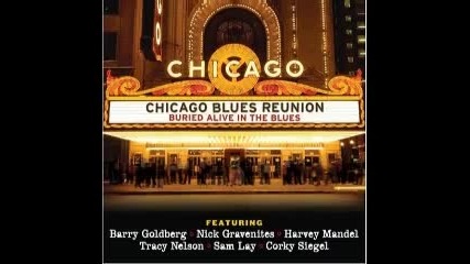 Chicago Blues Reunion - Buried Alive in The Blues 