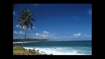 Daniel Wanrooy - Dominica