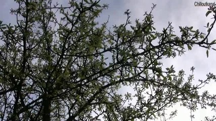 Отвънка Е Пролет - Здравей