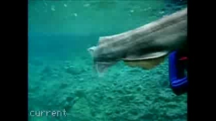 Monster From The Deep