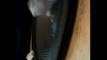 bass 1