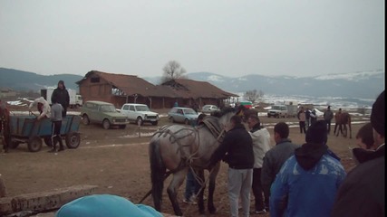 Годеч 2012