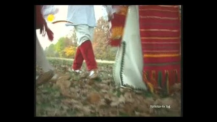 милена - извило се оро 