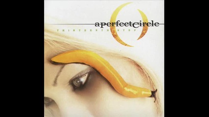 A Perfect Circle - Pet