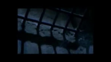 Elisa Di Rivombrosa - Non Me Lo So spiegare