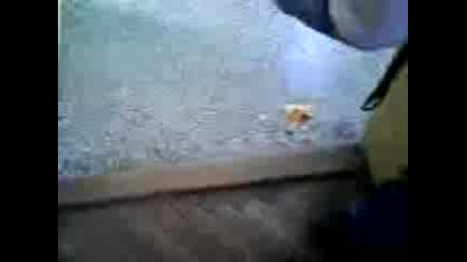 Just Shmatka : ) 