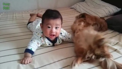 Компилация Смях !.. Cute Cats and Dogs Love Babies Compilation 2015