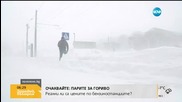 Сняг парализира Одеса
