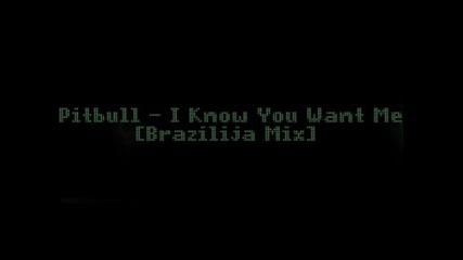 Pitbull - I Know You Want Me [brazilija Mix]