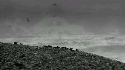 Dungeness Letus Extreme 35mm Sony Ex1 