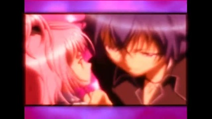 ~¦amuto¦~ - Fly on the Wall [amv]