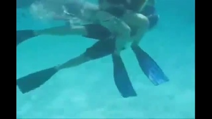 Възбудено делфинче
