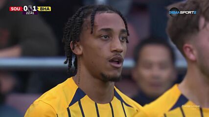 Goal by Brighton and Hove Albion